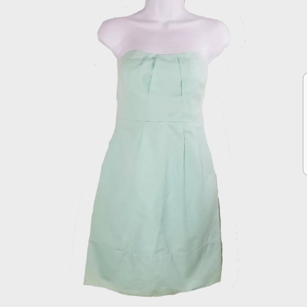 J. Crew Dress Strapless Lined Built-in Bra Fitted